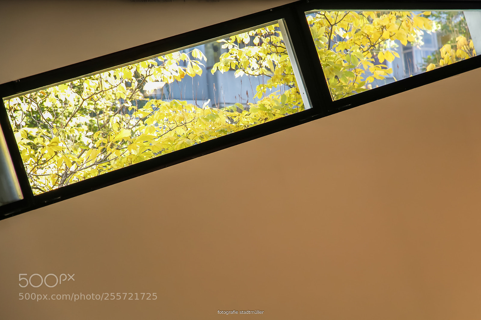Canon EOS 60D sample photo. Architektur photography