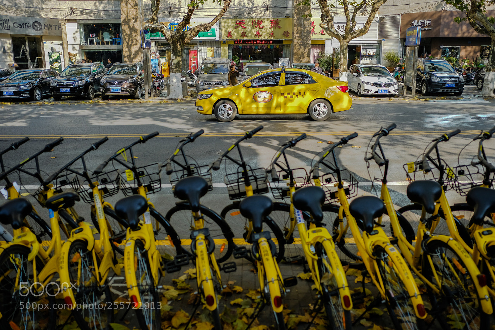 Fujifilm X-Pro2 sample photo. Yellow invasion photography