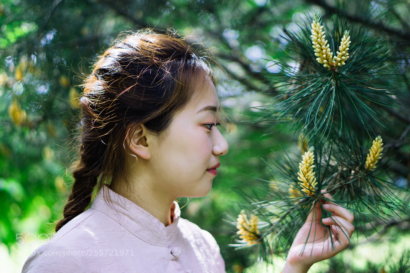 Sony a6000 sample photo. 空留一盏清茶 photography