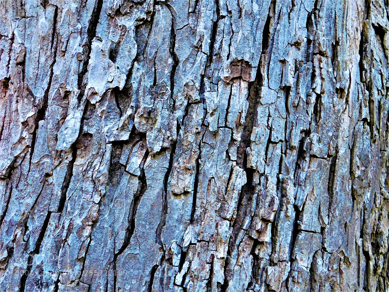 Nikon Coolpix B500 sample photo. () photography