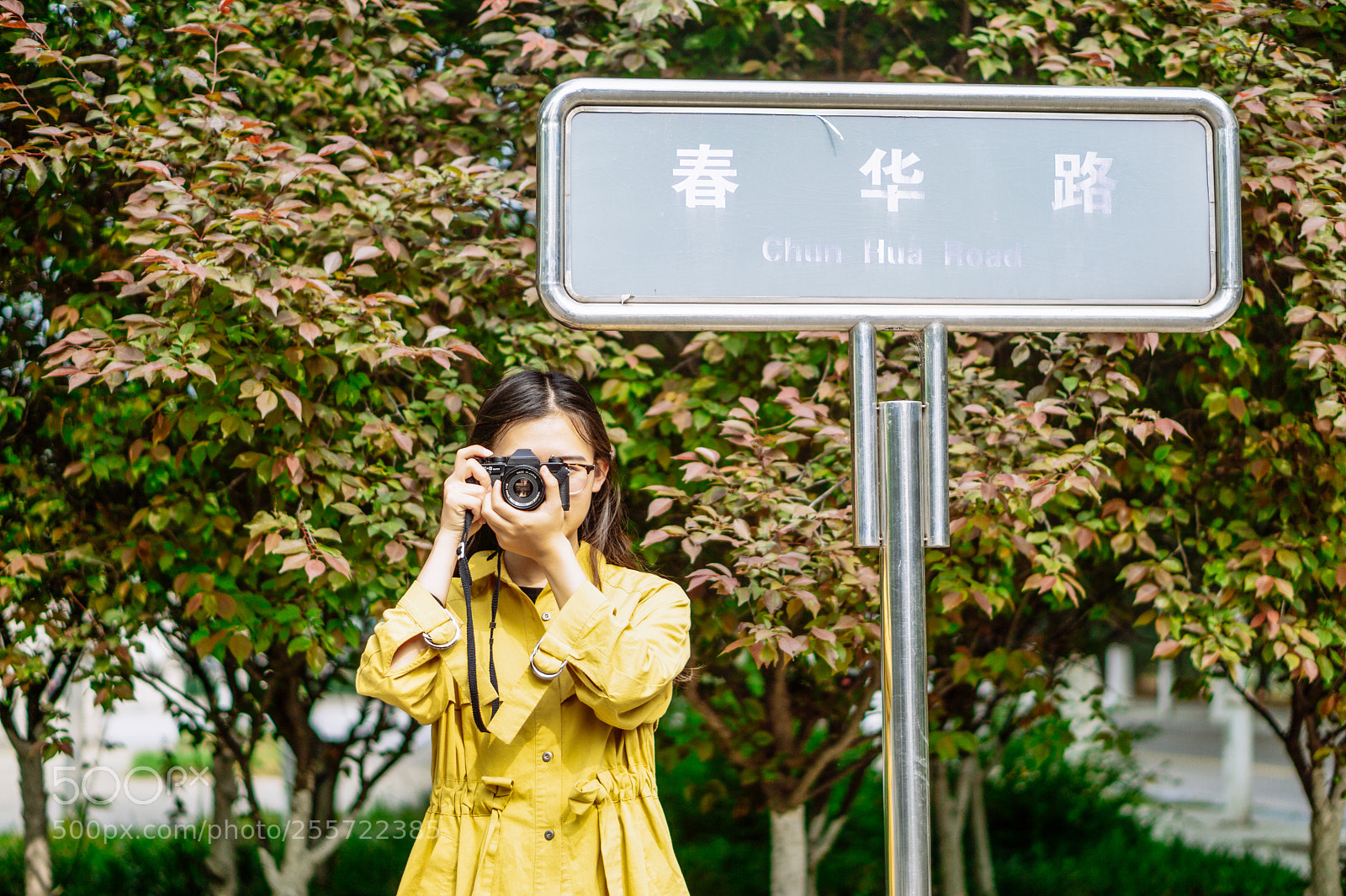 Sony a6000 sample photo. 空留一盏清茶 photography