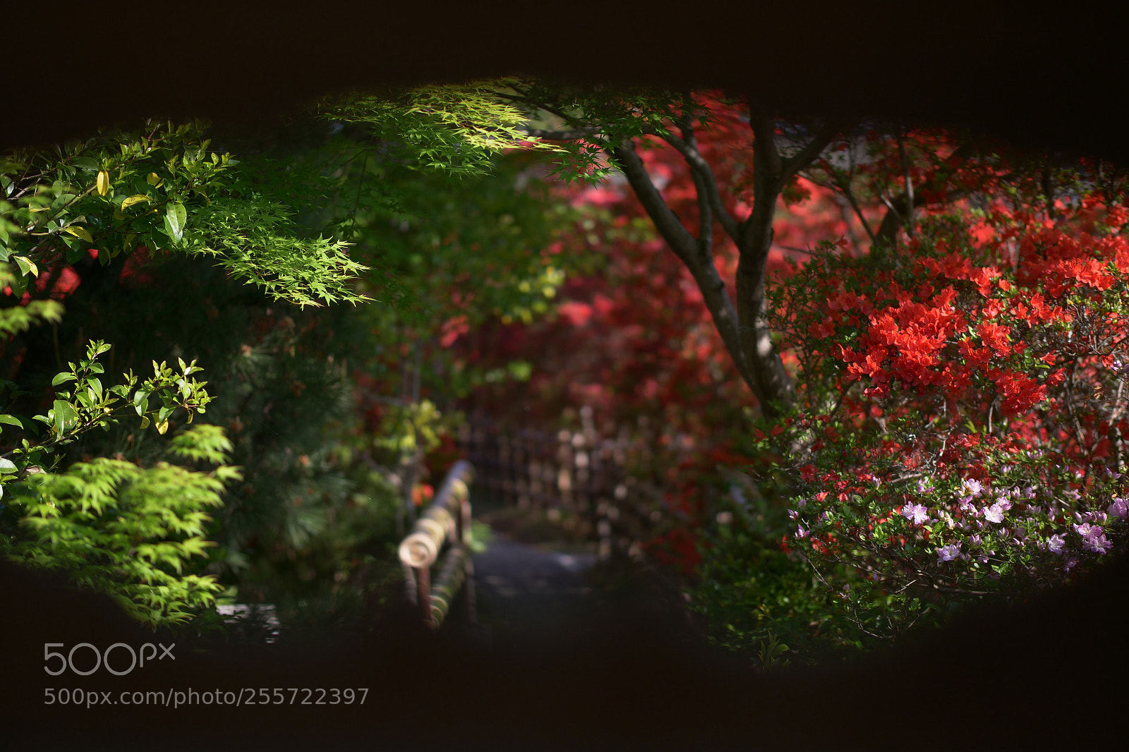 Panasonic Lumix DC-G9 sample photo. Entrance to the secret photography