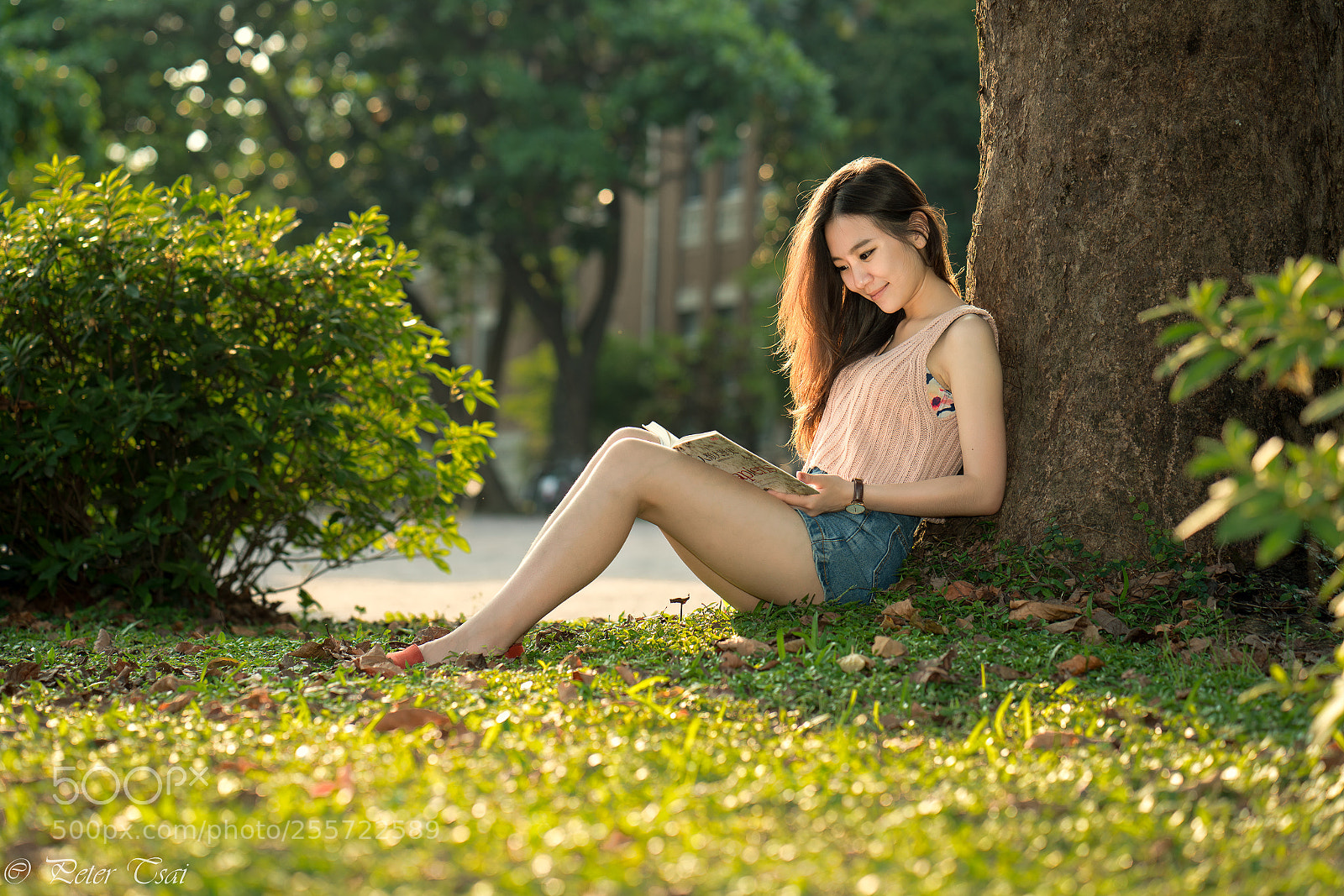Sony a7R III sample photo. 陳家渝 photography