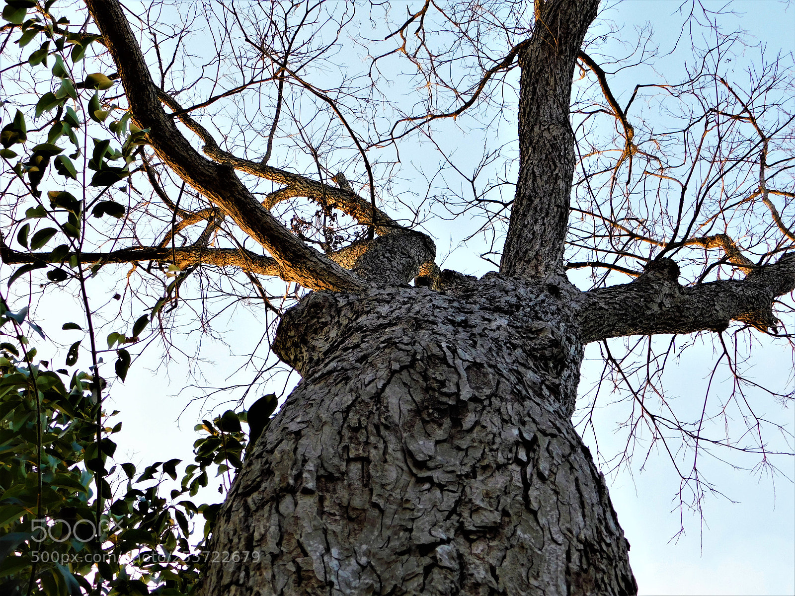 Nikon Coolpix B500 sample photo. () photography