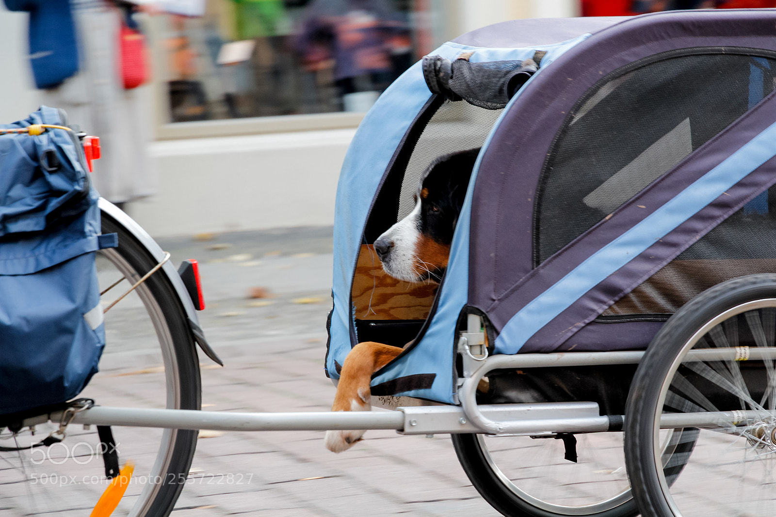 Canon EOS 60D sample photo. Menschen photography