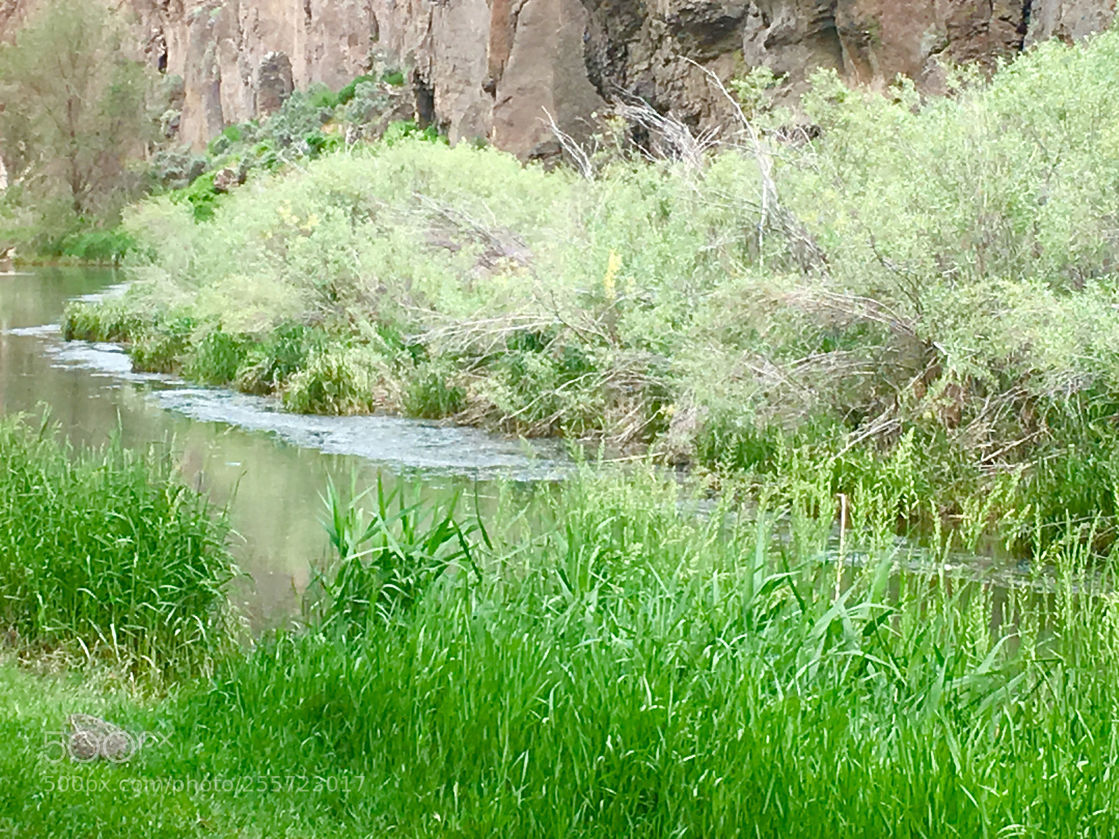 Apple iPhone 6s sample photo. Stream photography