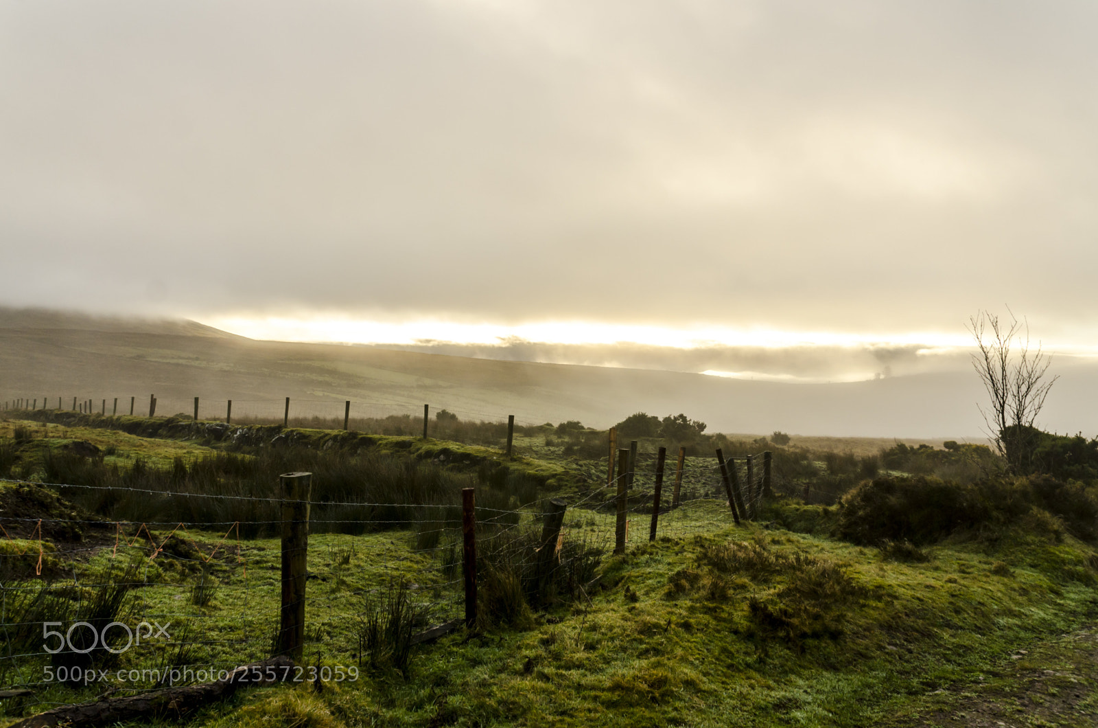 Nikon D7000 sample photo. Sunrise over hills photography