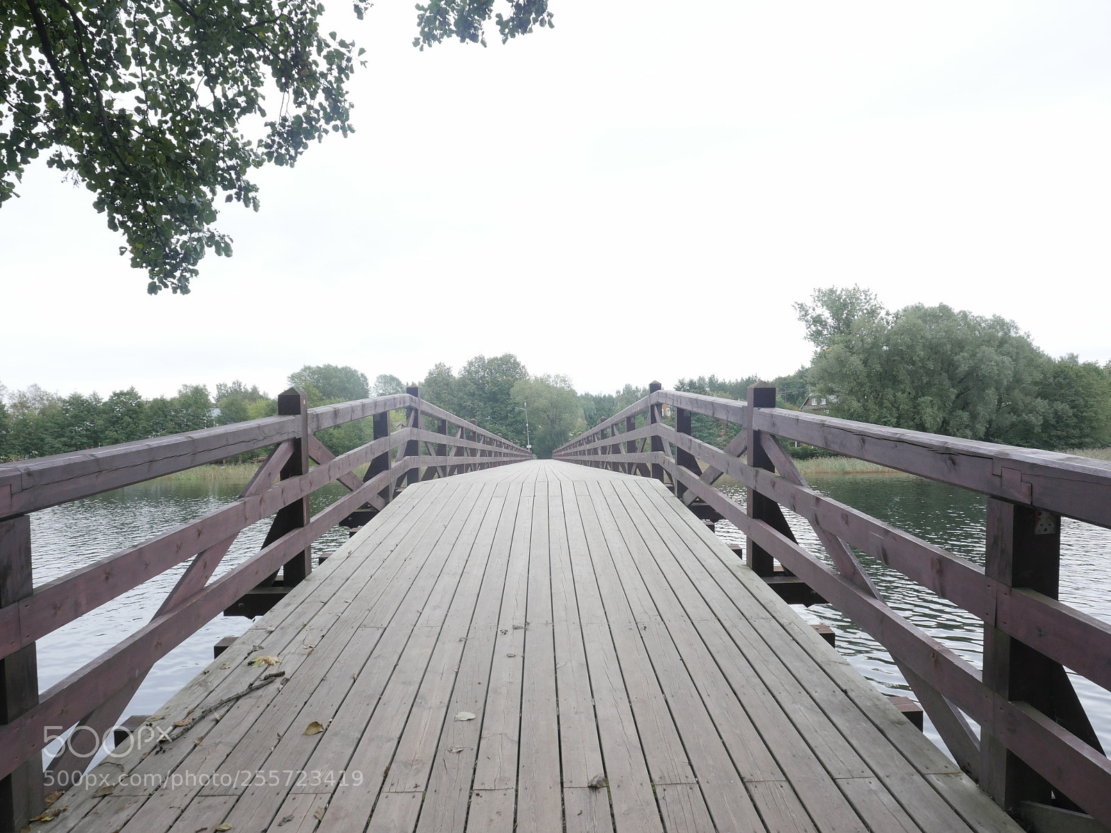 Panasonic Lumix DMC-GH4 sample photo. B () photography