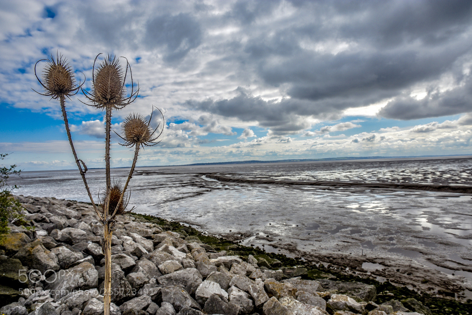 Nikon D7200 sample photo. Looking out over the photography