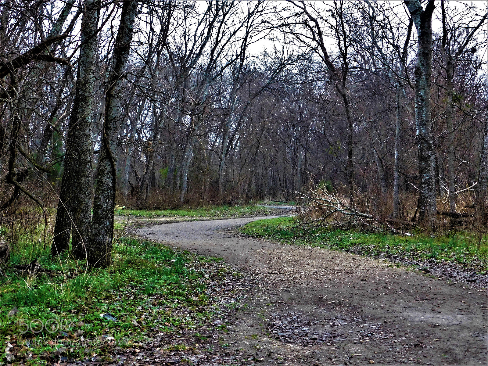 Nikon Coolpix B500 sample photo. () photography