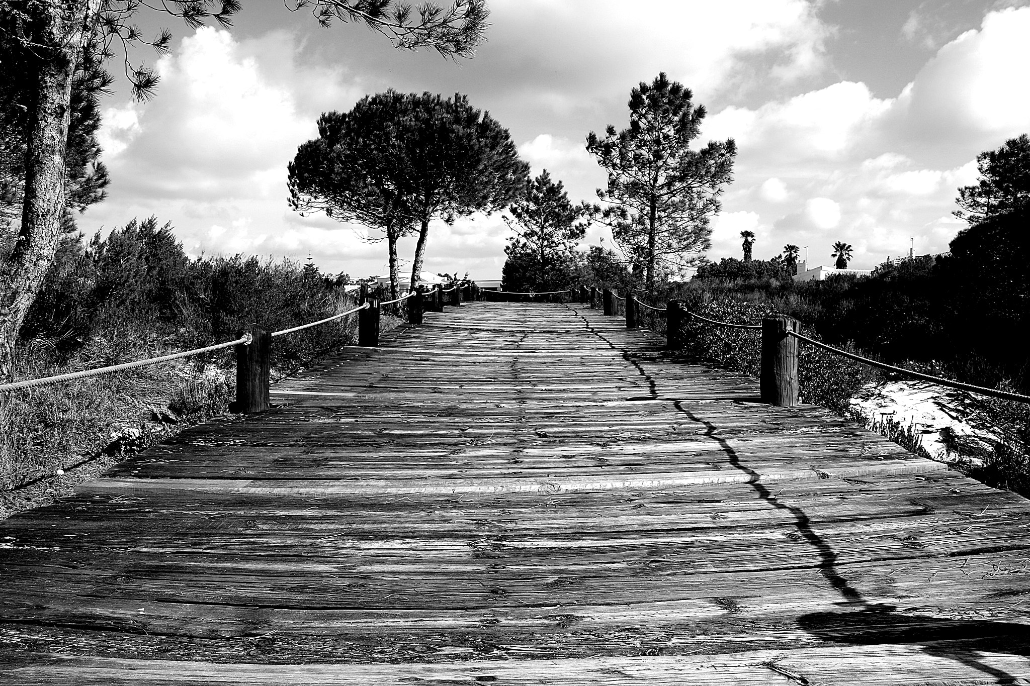 Canon EOS 70D sample photo. Caminho photography