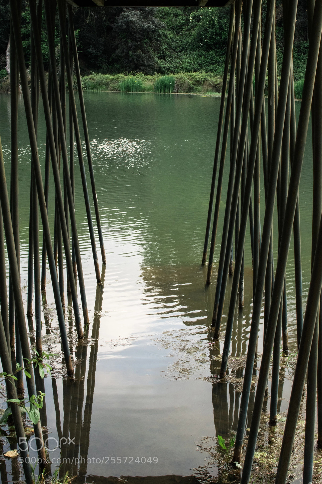 Nikon D3300 sample photo. Reflections photography