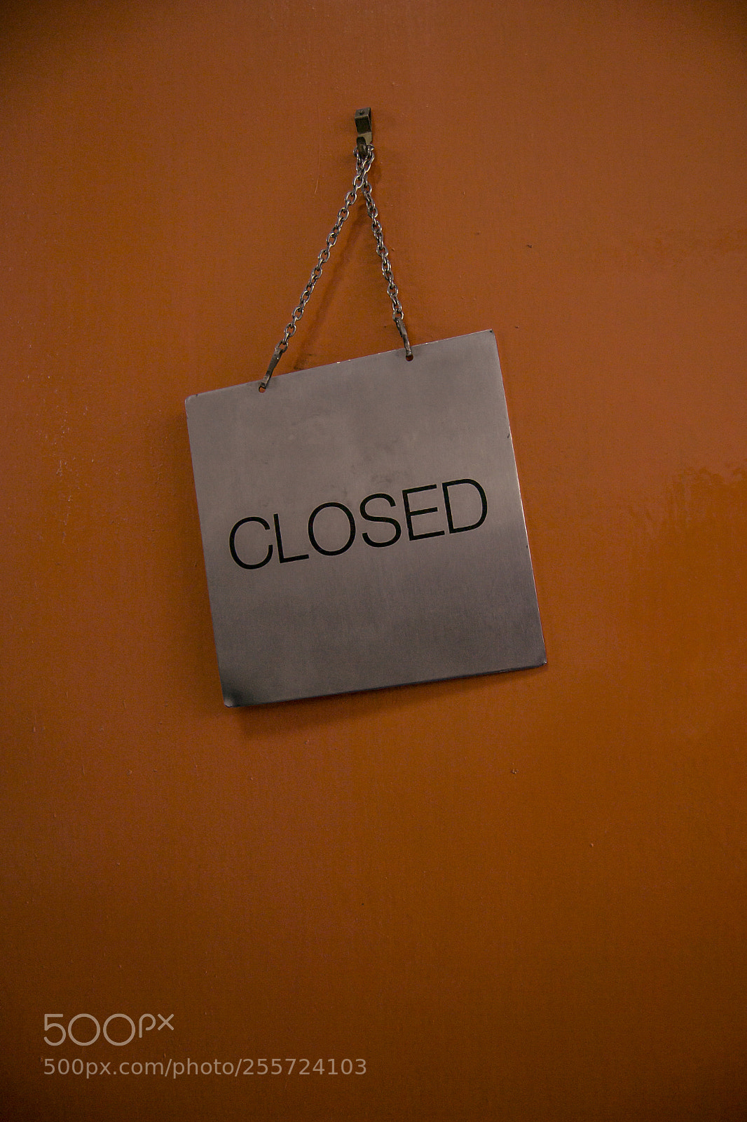 Nikon D3100 sample photo. B () photography