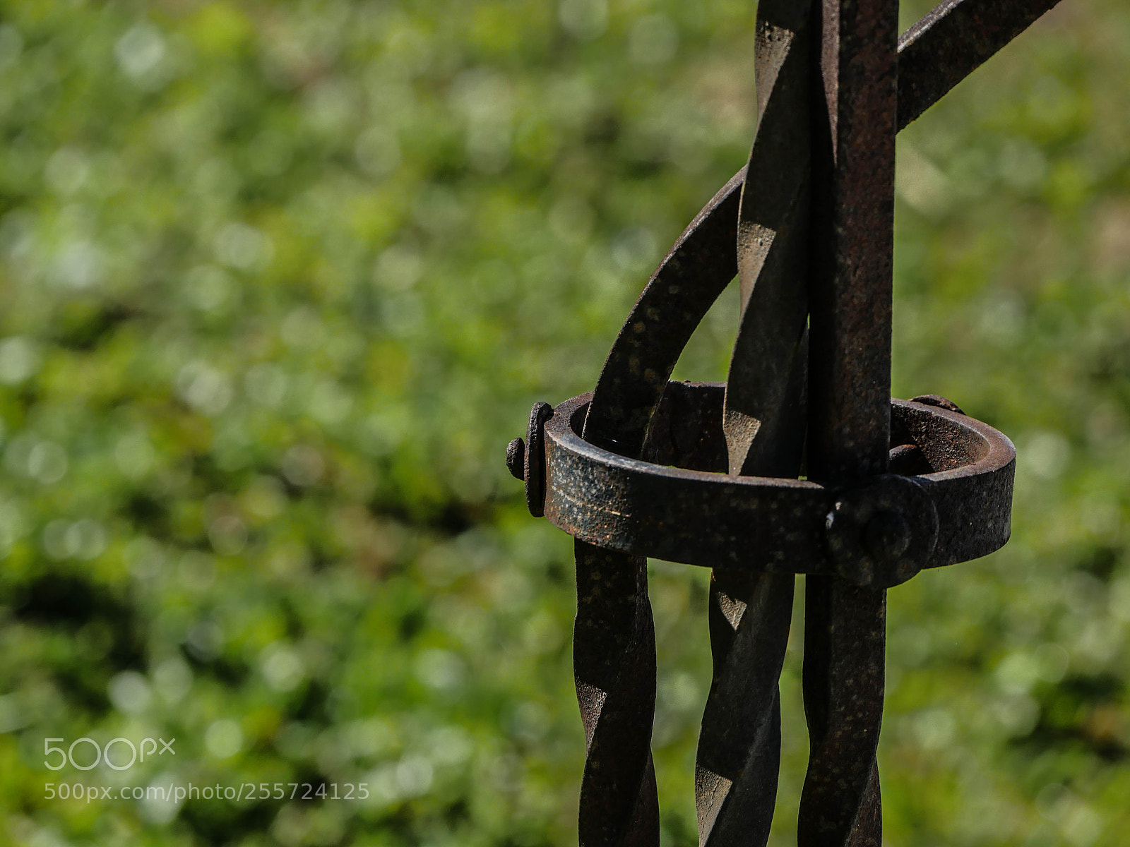 Panasonic Lumix DMC-GH4 sample photo. B () photography