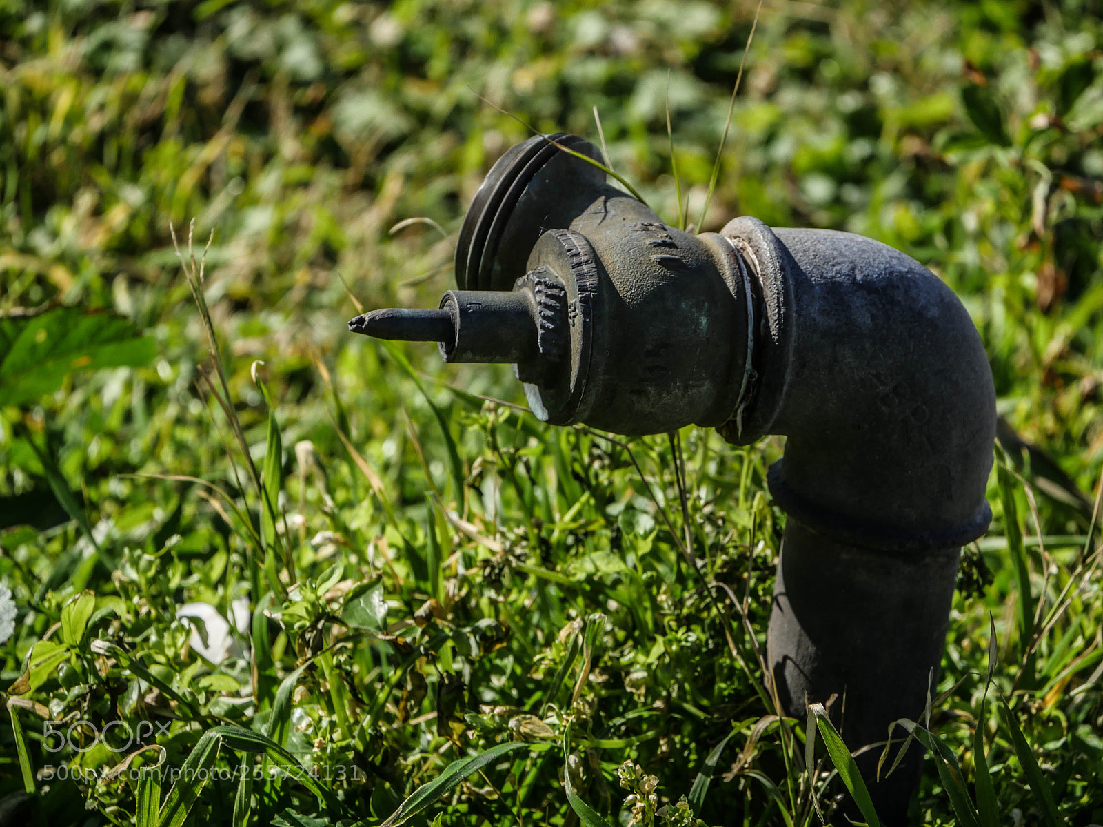 Panasonic Lumix DMC-GH4 sample photo. B () photography