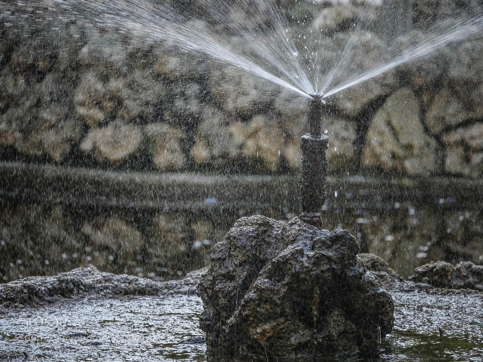 Panasonic Lumix DMC-GH4 sample photo. B () photography