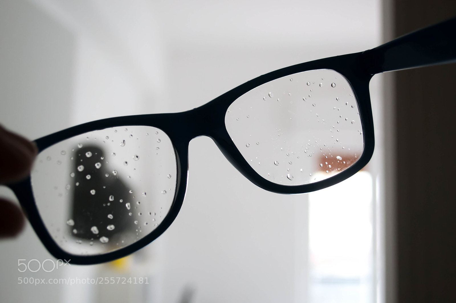 Nikon D3100 sample photo. B () photography