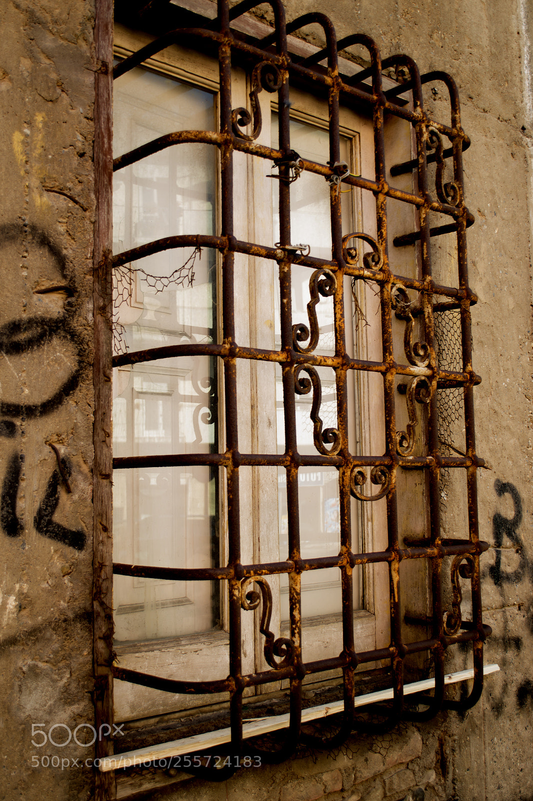Nikon D3100 sample photo. B () photography
