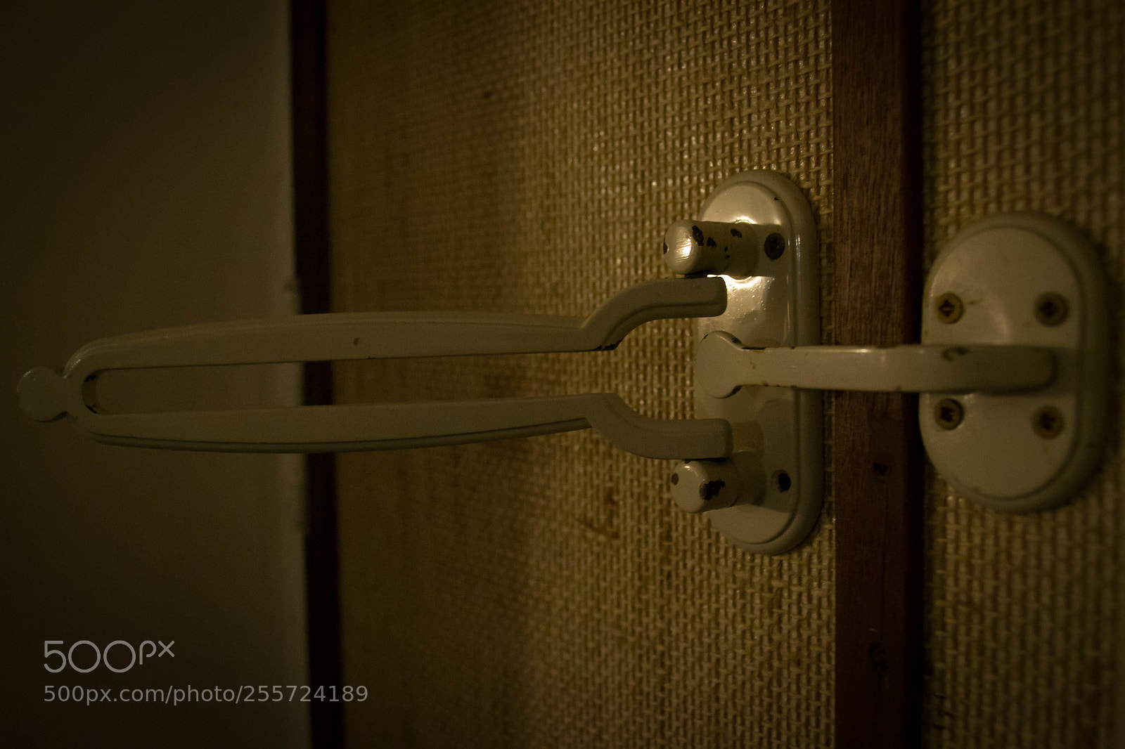 Nikon D3100 sample photo. B () photography