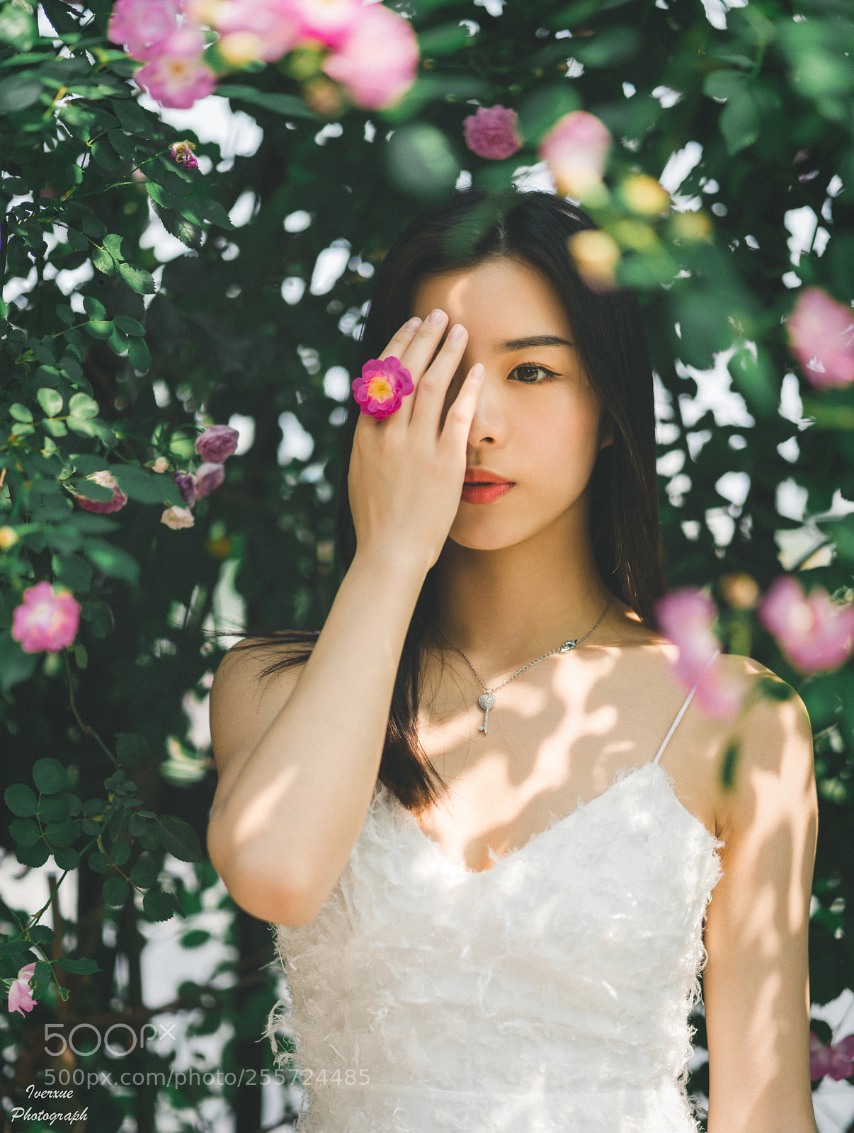 Sony a7R II sample photo. 蔷薇花下 photography