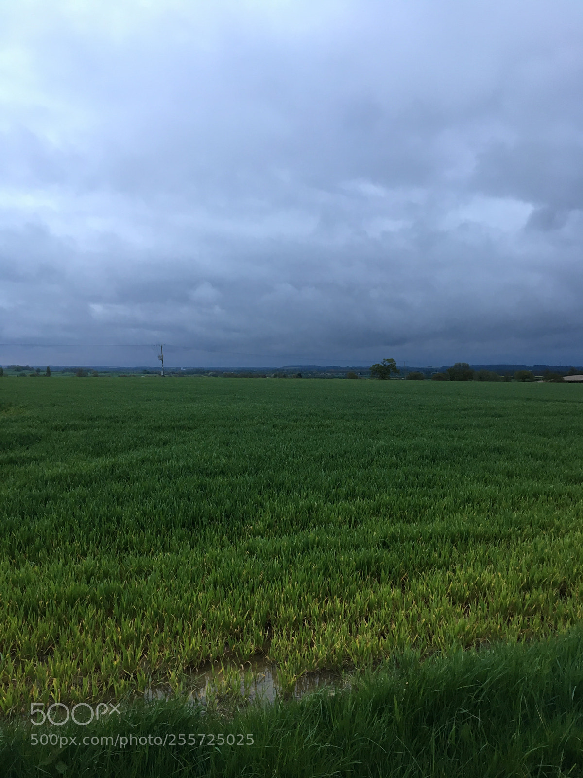 Apple iPhone 6s sample photo. Oundle countryside.  photography