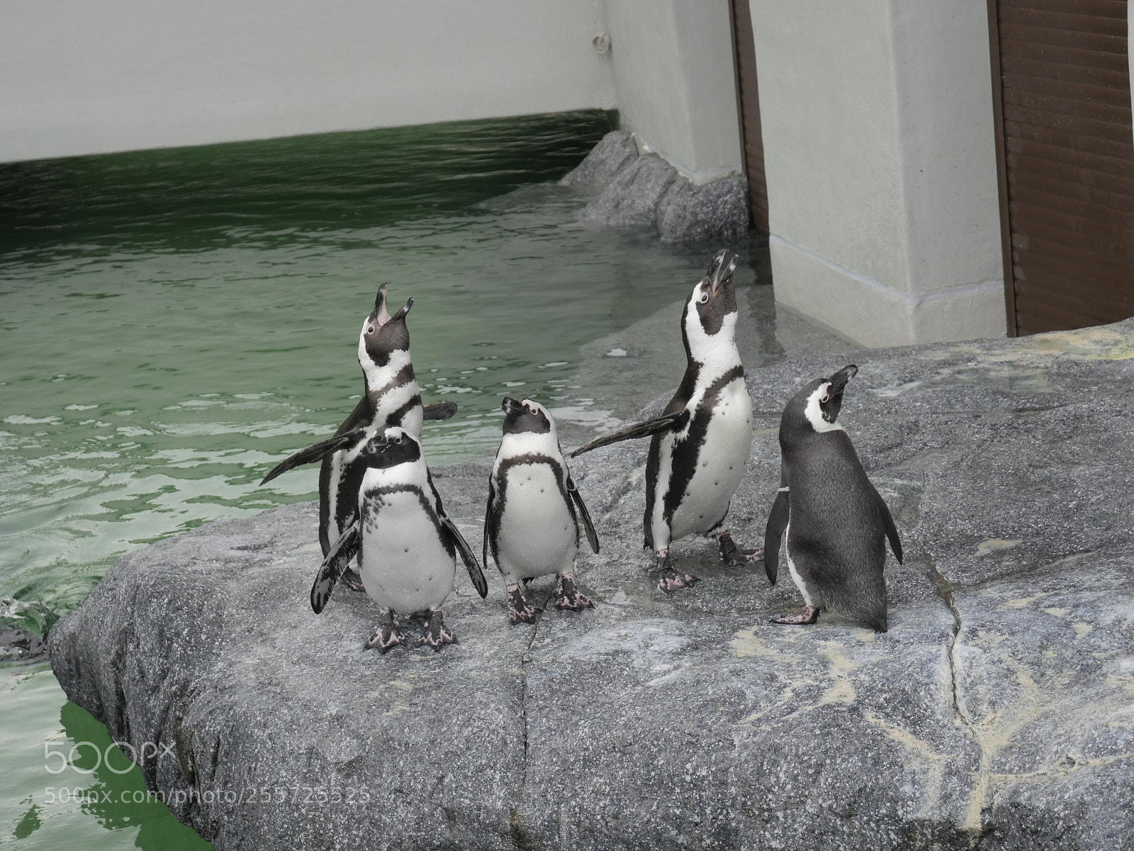 Panasonic Lumix DMC-GH4 sample photo. B () photography
