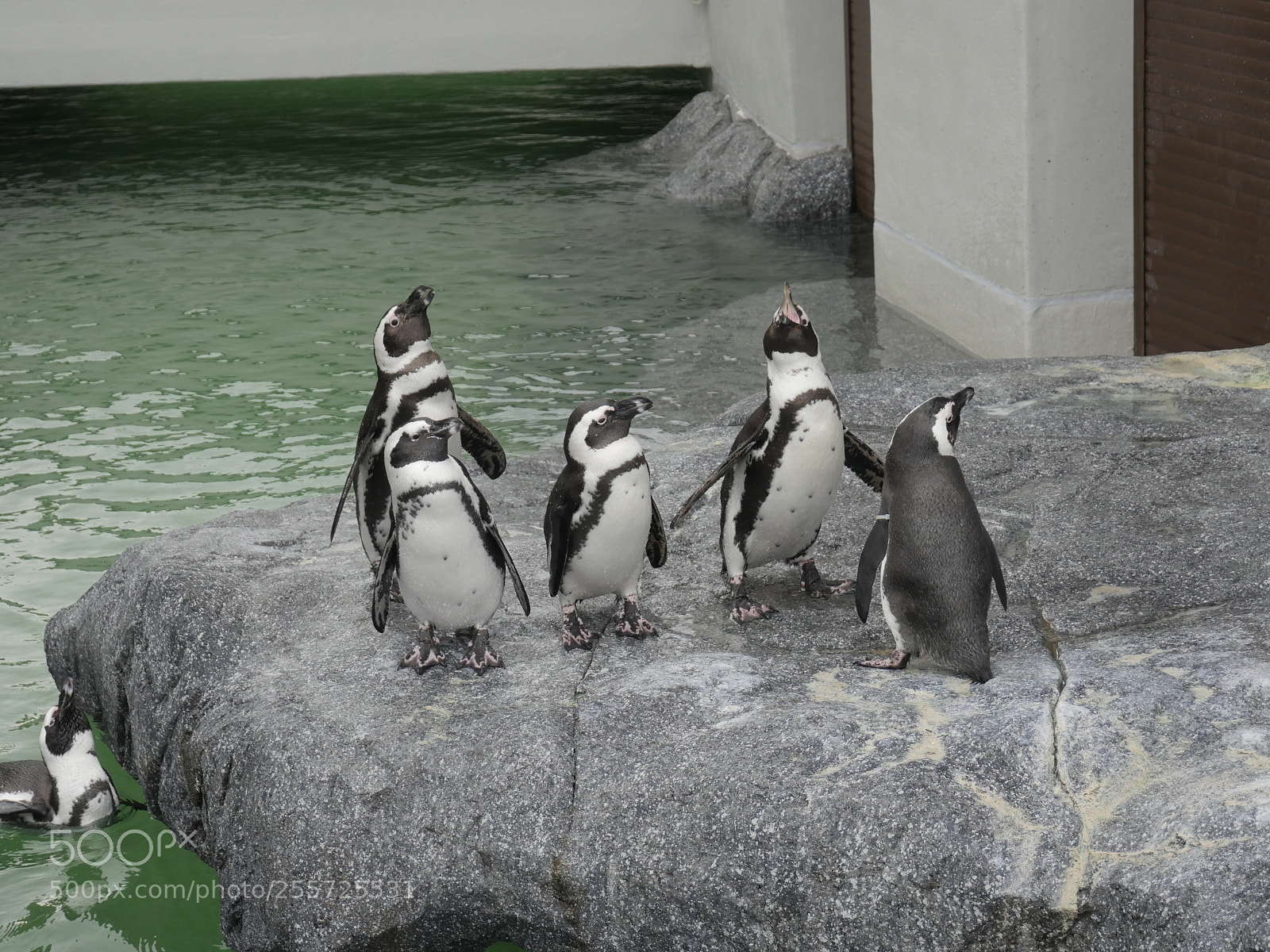 Panasonic Lumix DMC-GH4 sample photo. B () photography