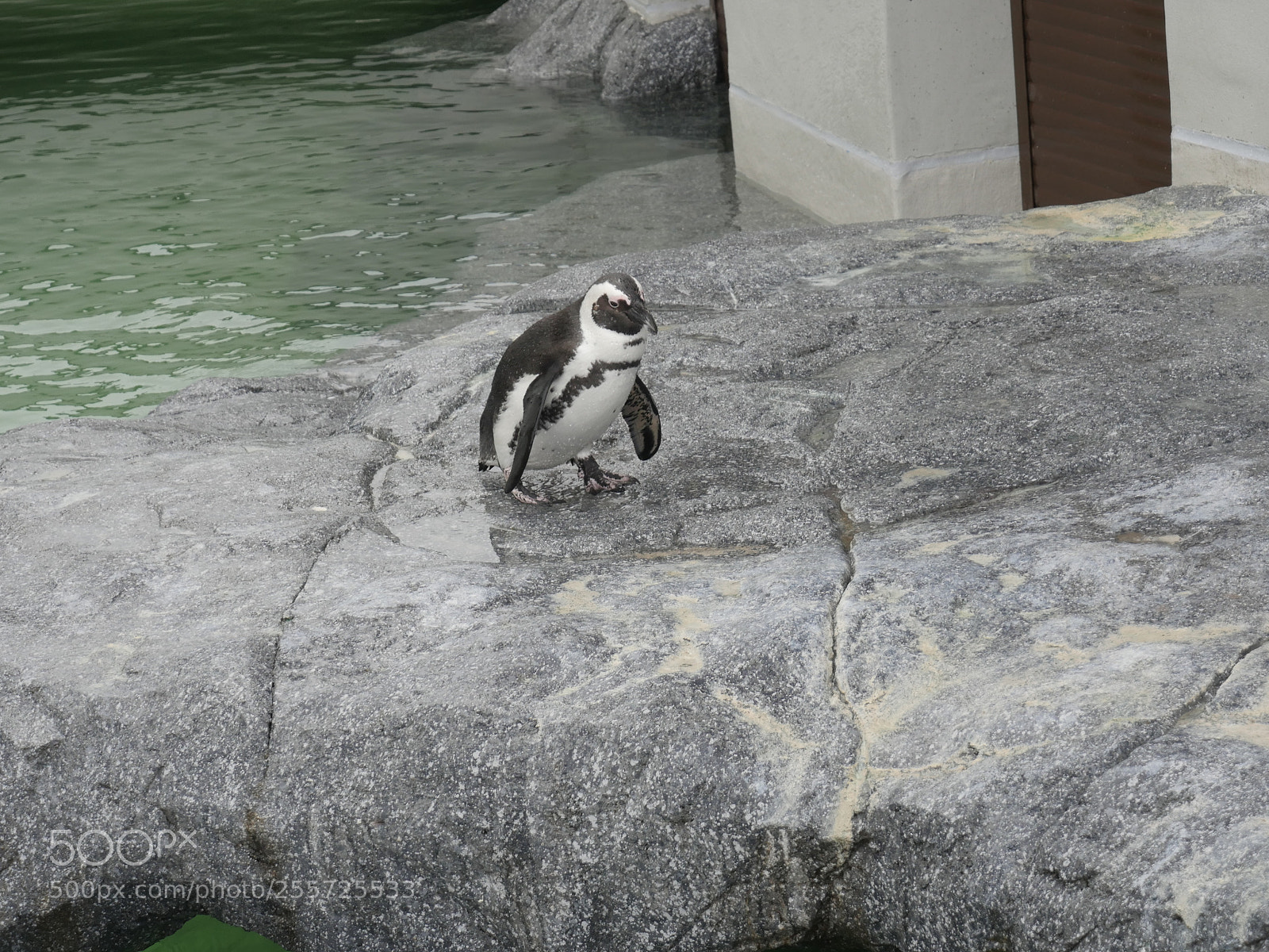 Panasonic Lumix DMC-GH4 sample photo. B () photography