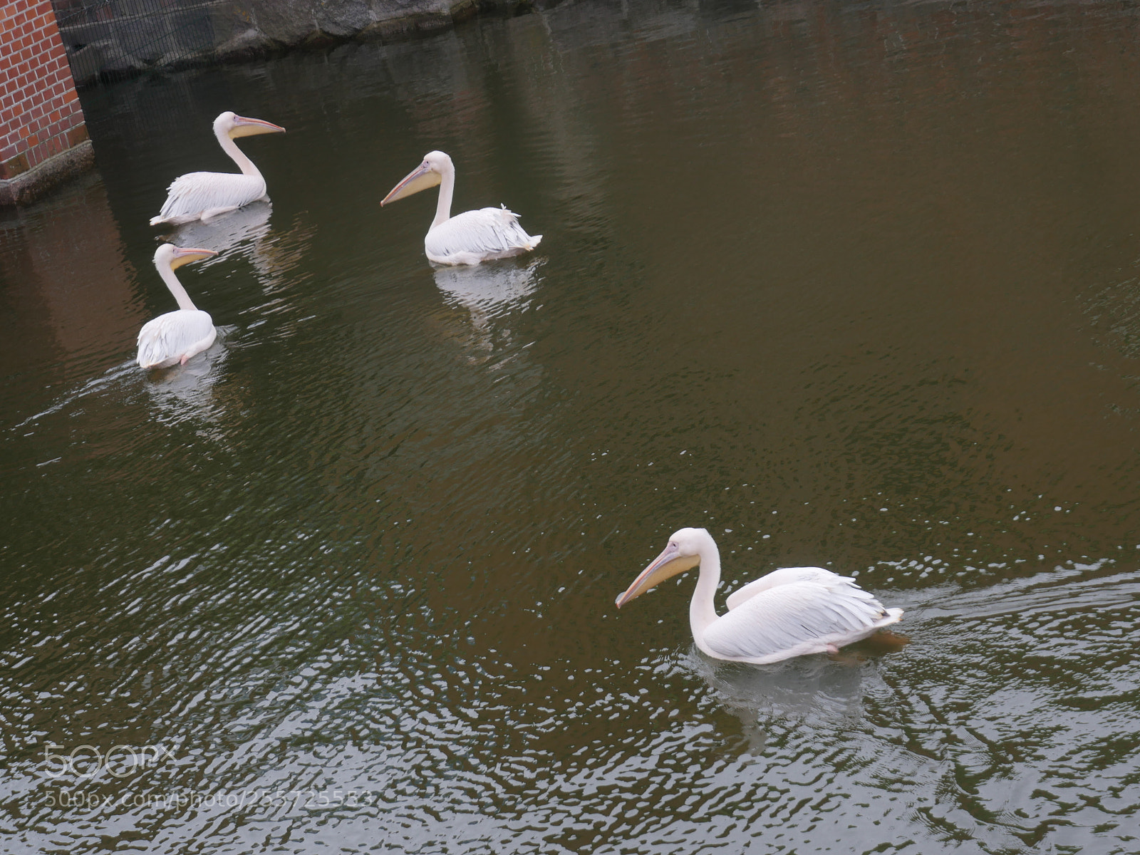 Panasonic Lumix DMC-GH4 sample photo. B () photography