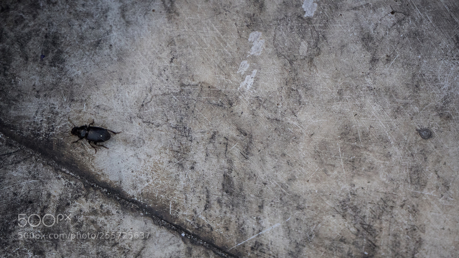 Panasonic Lumix DMC-GH4 sample photo. B () photography