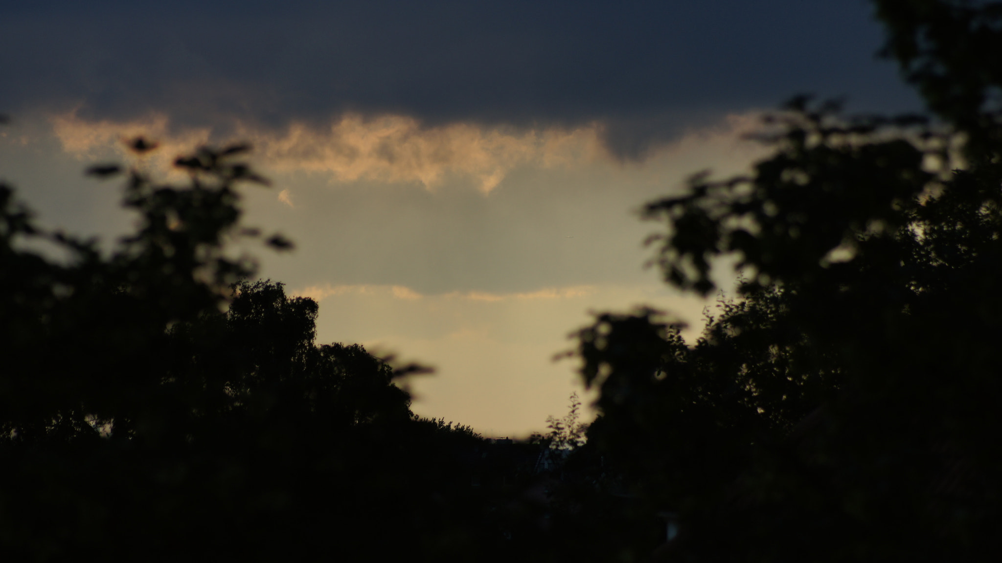 Sony 75-300mm F4.5-5.6 sample photo. Untitled photography