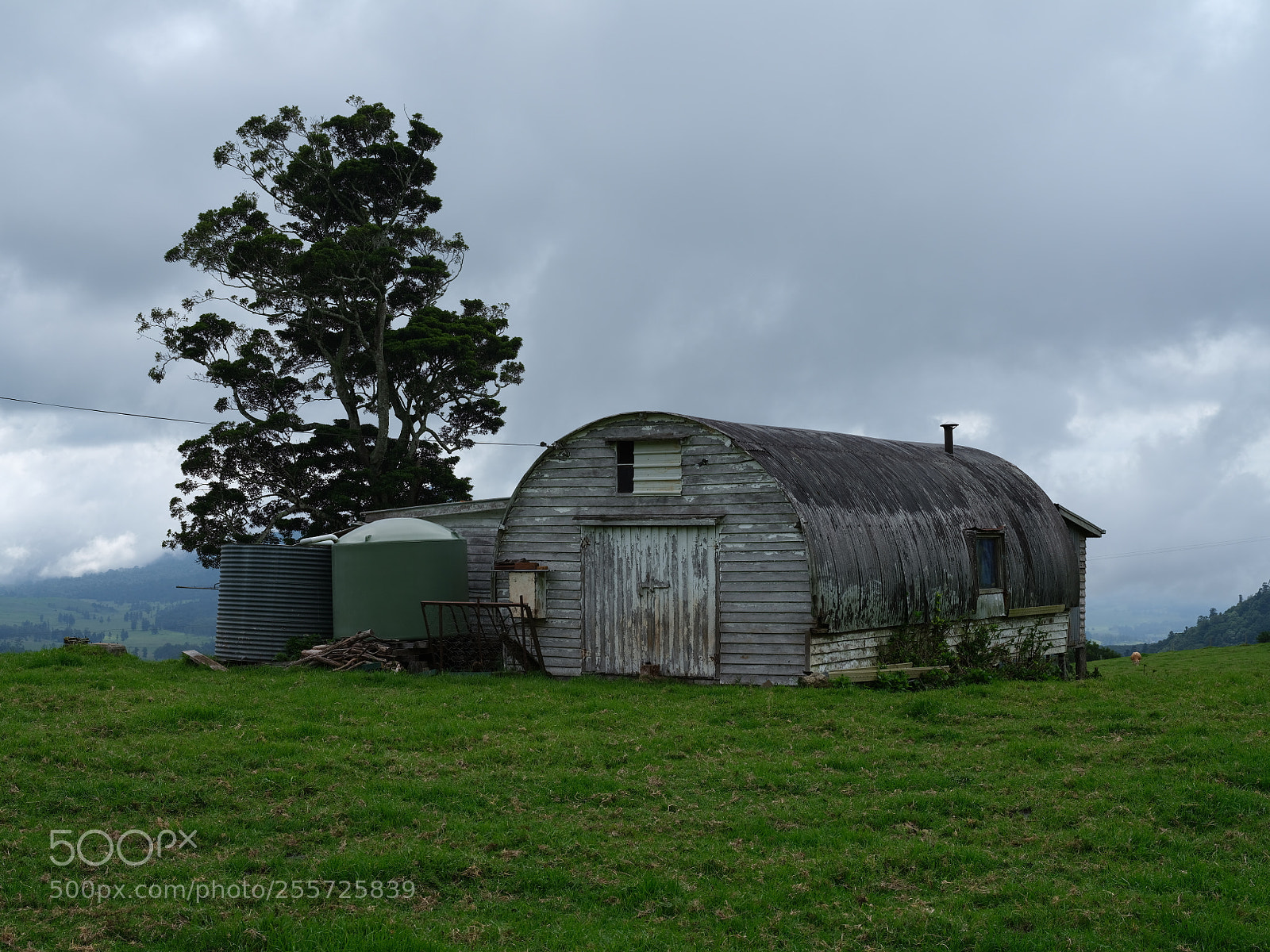 Fujifilm GFX 50S sample photo. Tree barn photography