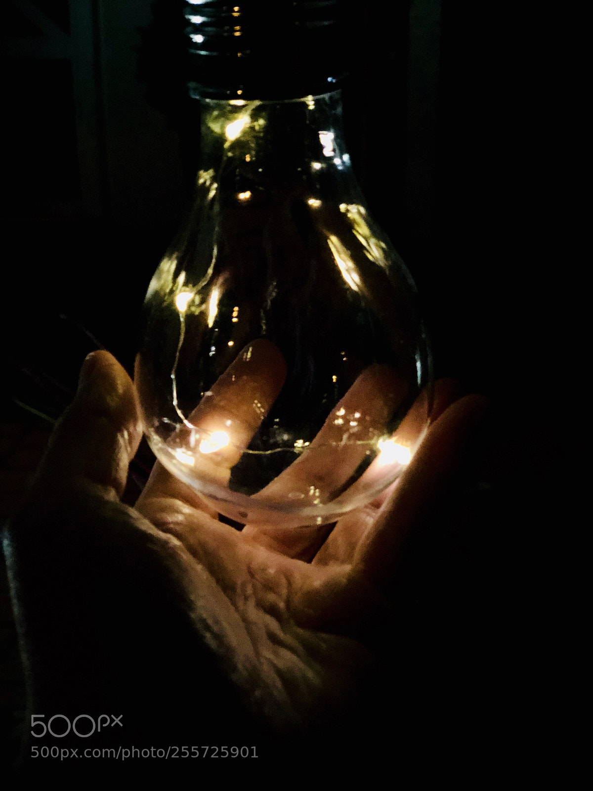 Apple iPhone X sample photo. Untitled photography