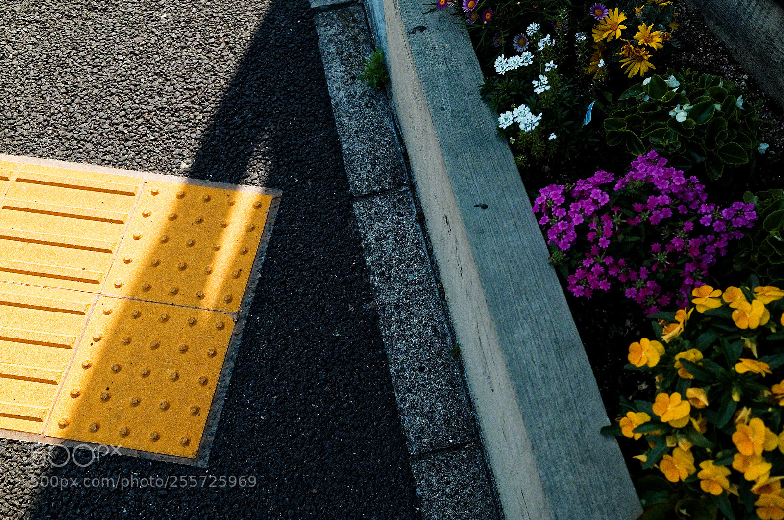 Ricoh GR sample photo. Untitled photography