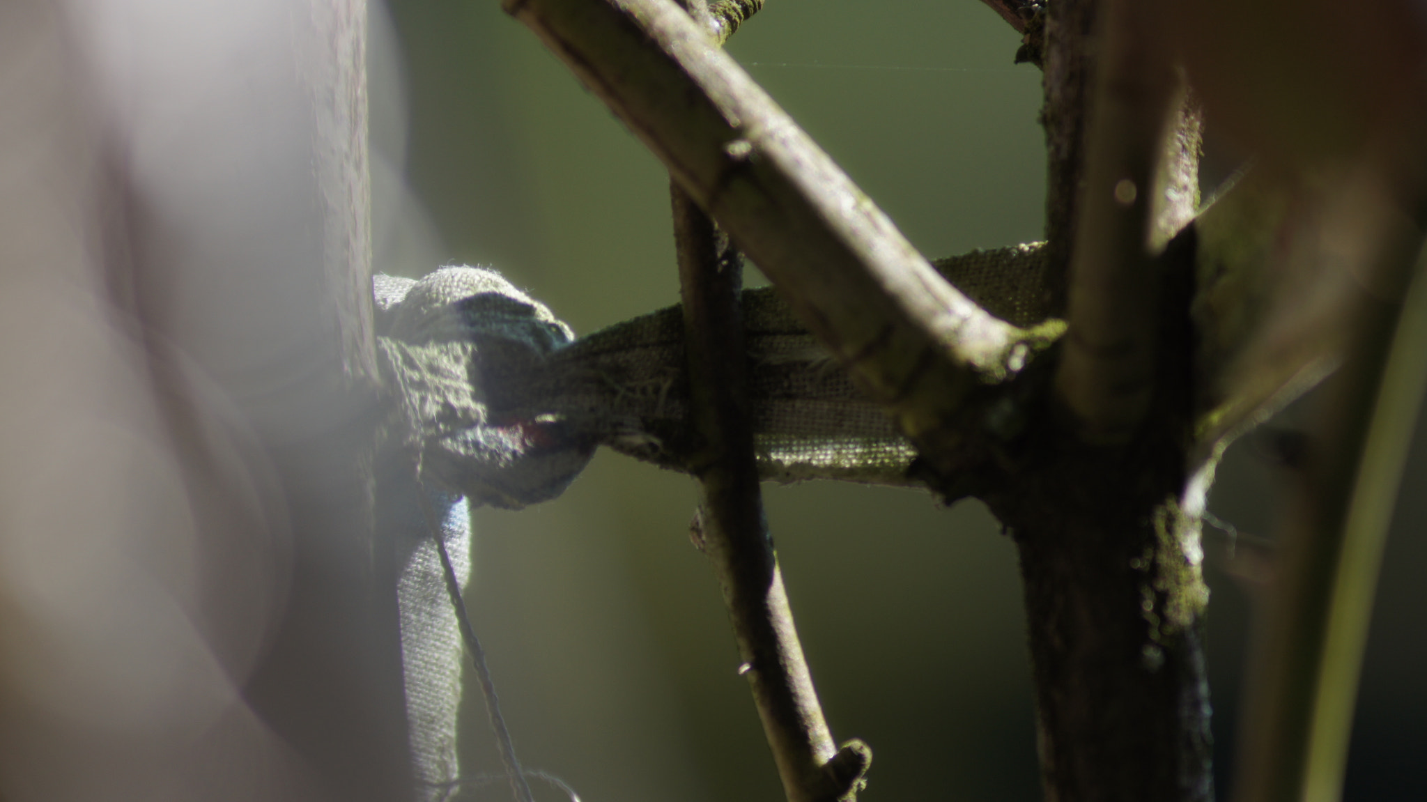 Sony 75-300mm F4.5-5.6 sample photo. Untitled photography