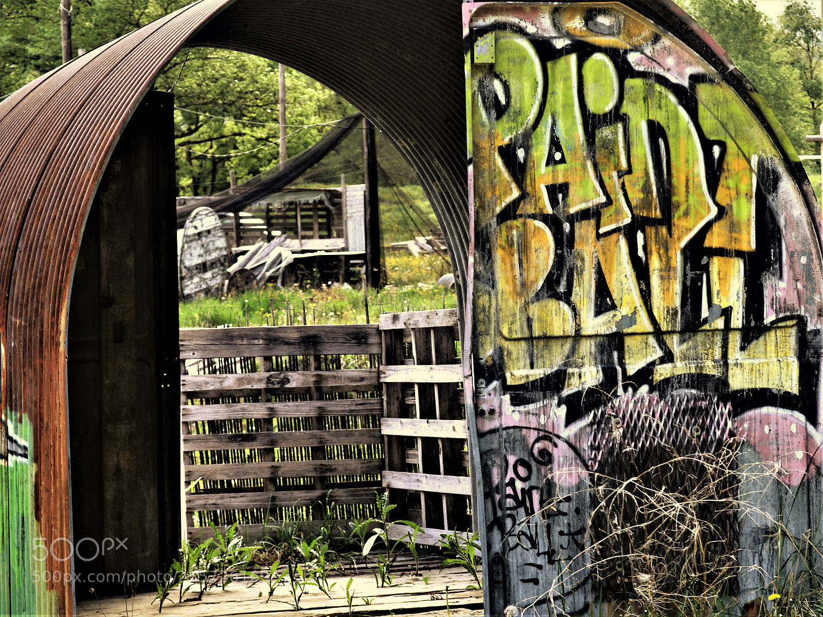 Nikon D3200 sample photo. Untitled photography