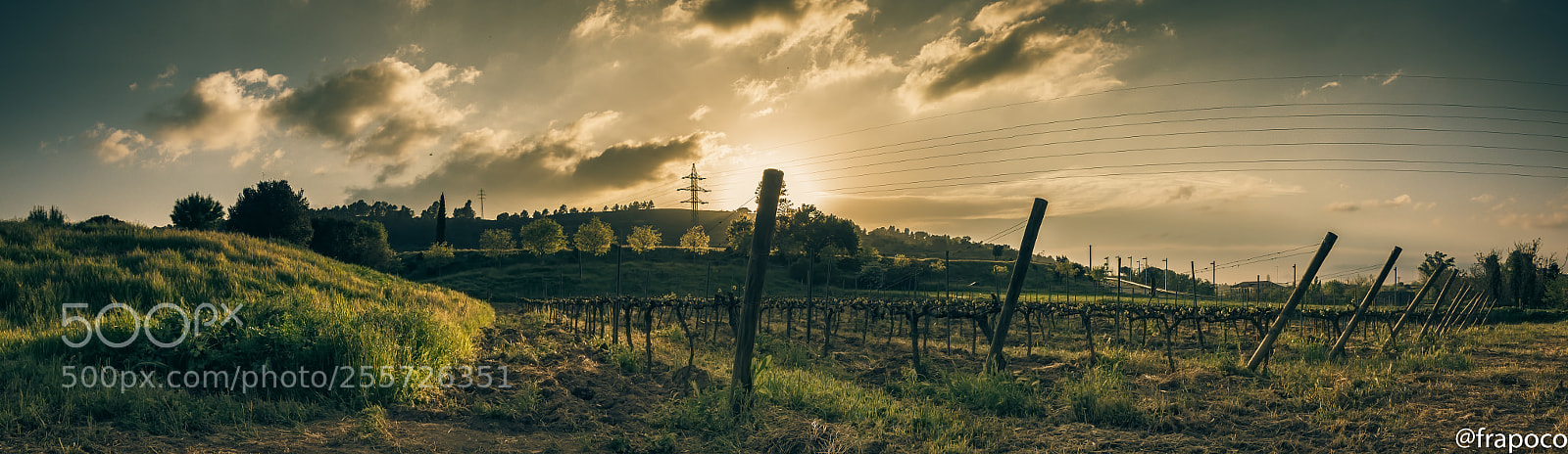 Nikon D7200 sample photo. Sunset at the vineyard photography