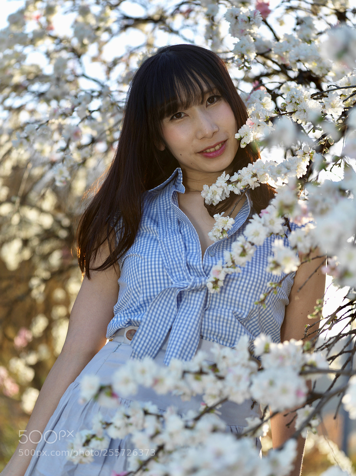 Hasselblad X1D-50c sample photo. Peach blossoms photography