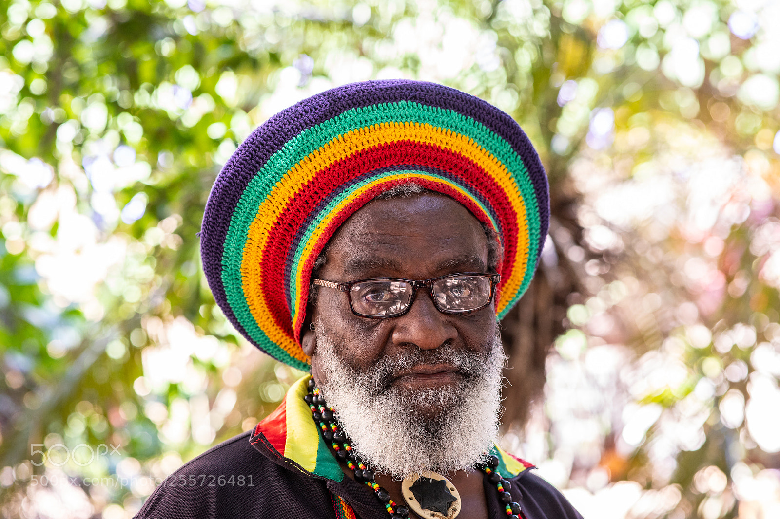 Canon EOS 5D Mark IV sample photo. Rastafari in the streets photography