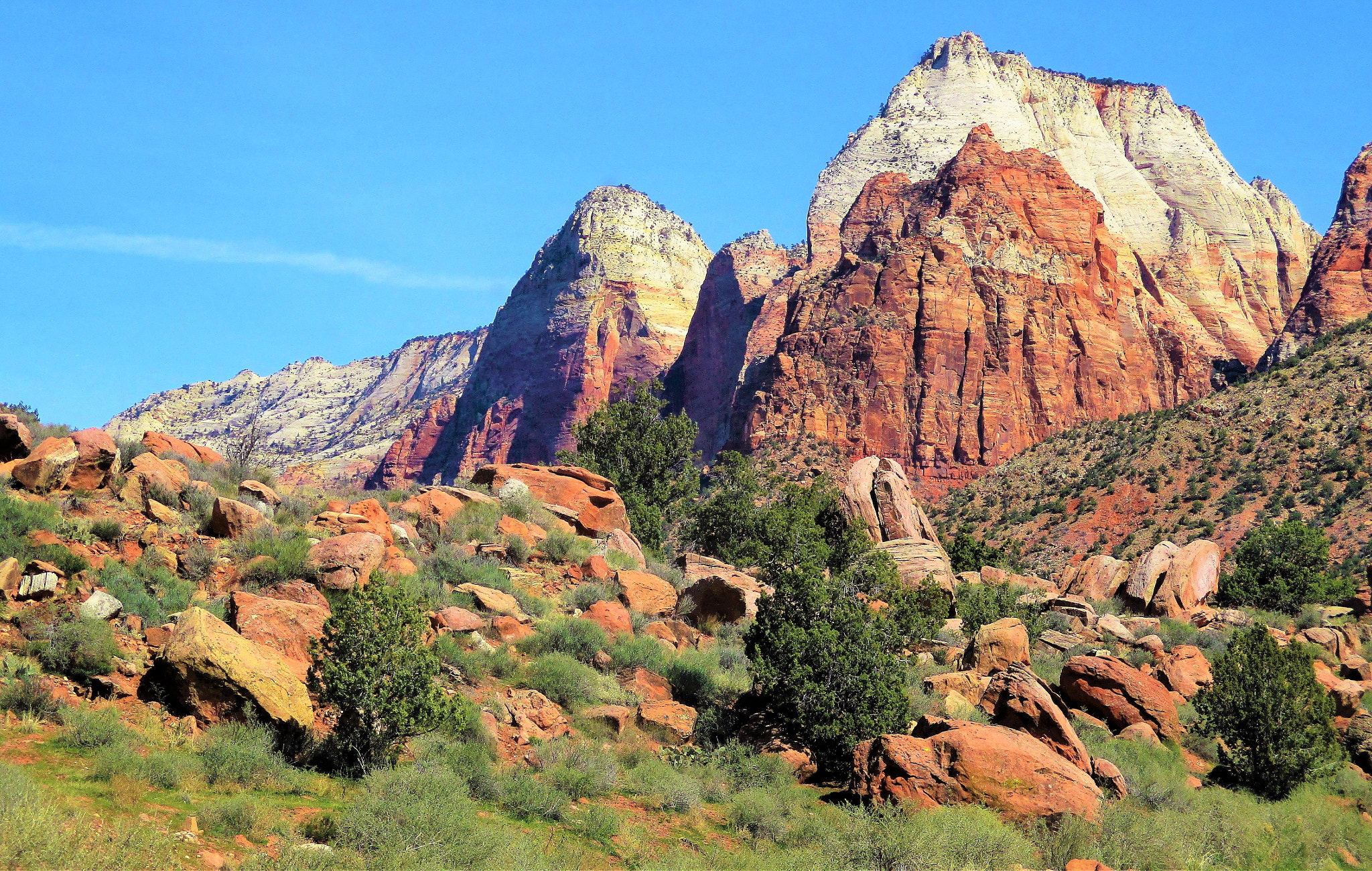 Canon PowerShot ELPH 180 (IXUS 175 / IXY 180) sample photo. Spring 2017 - zion national park in utah, usa photography