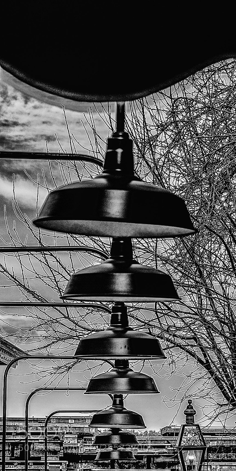 Nikon D610 sample photo. Lamps photography