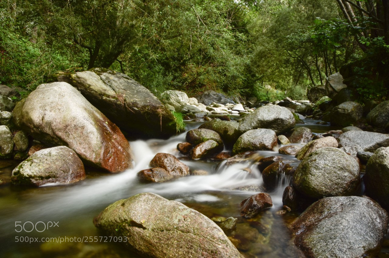 Nikon D7200 sample photo. Salto del grillo1 photography