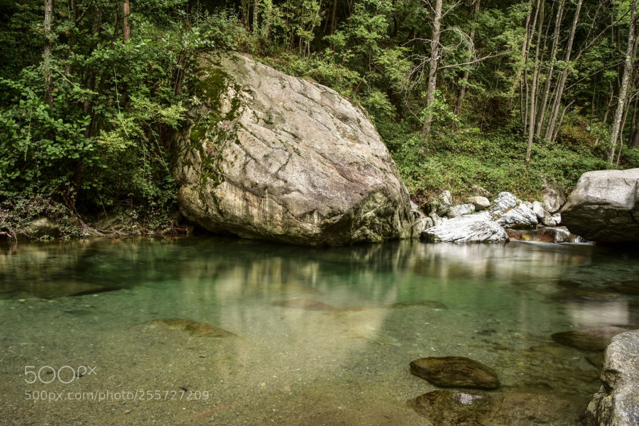 Nikon D7200 sample photo. Salto del grillo2 photography