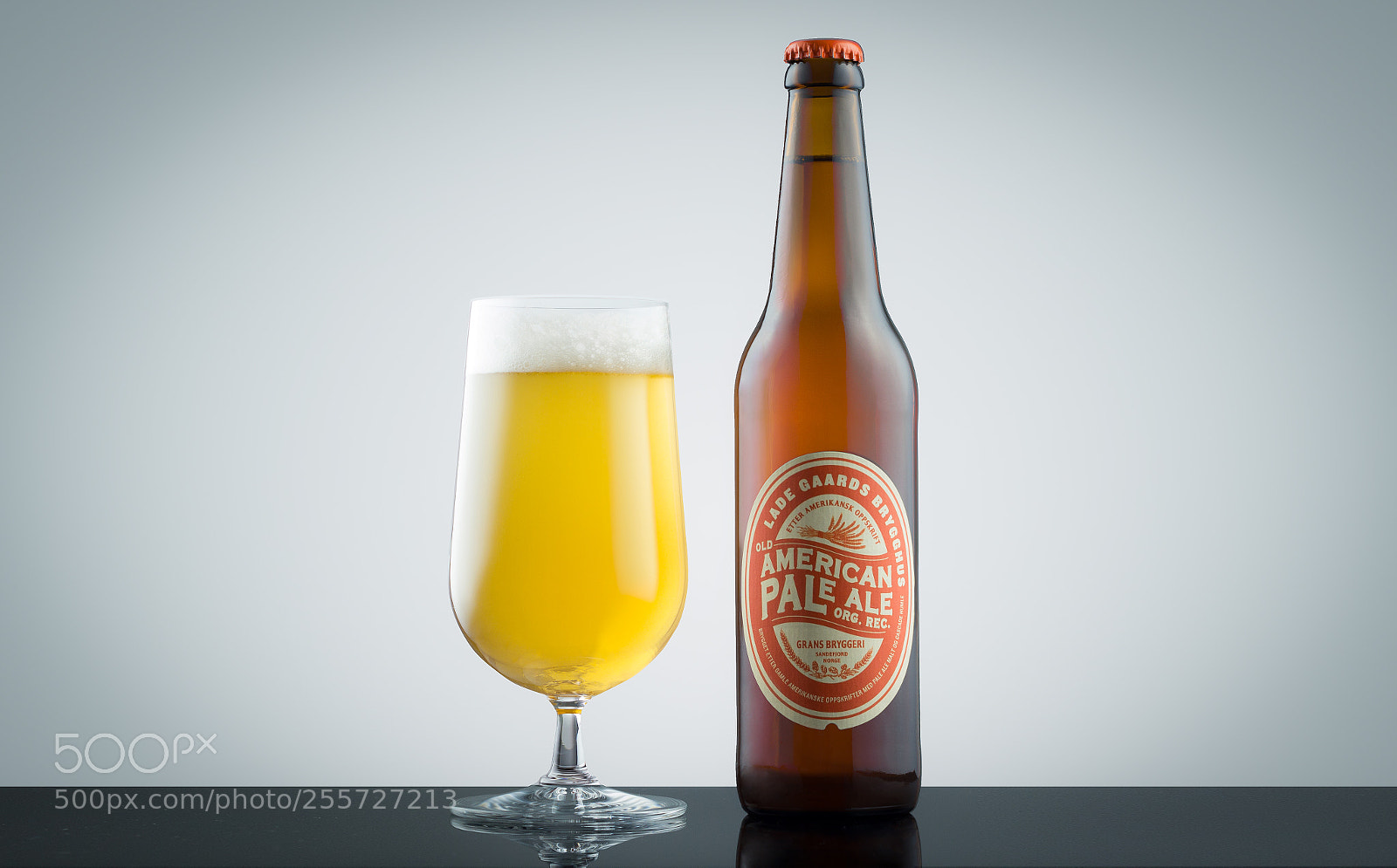 Canon EOS 550D (EOS Rebel T2i / EOS Kiss X4) sample photo. American pale ale photography