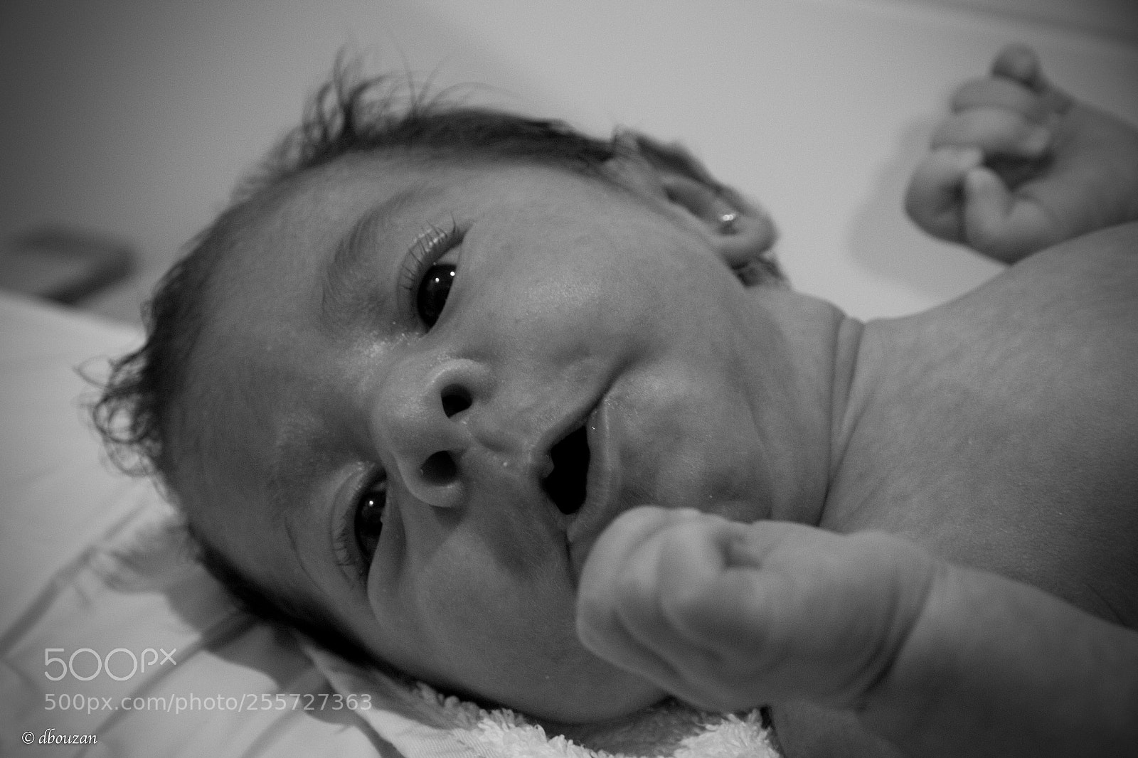 Canon EOS 650D (EOS Rebel T4i / EOS Kiss X6i) sample photo. Manuela photography