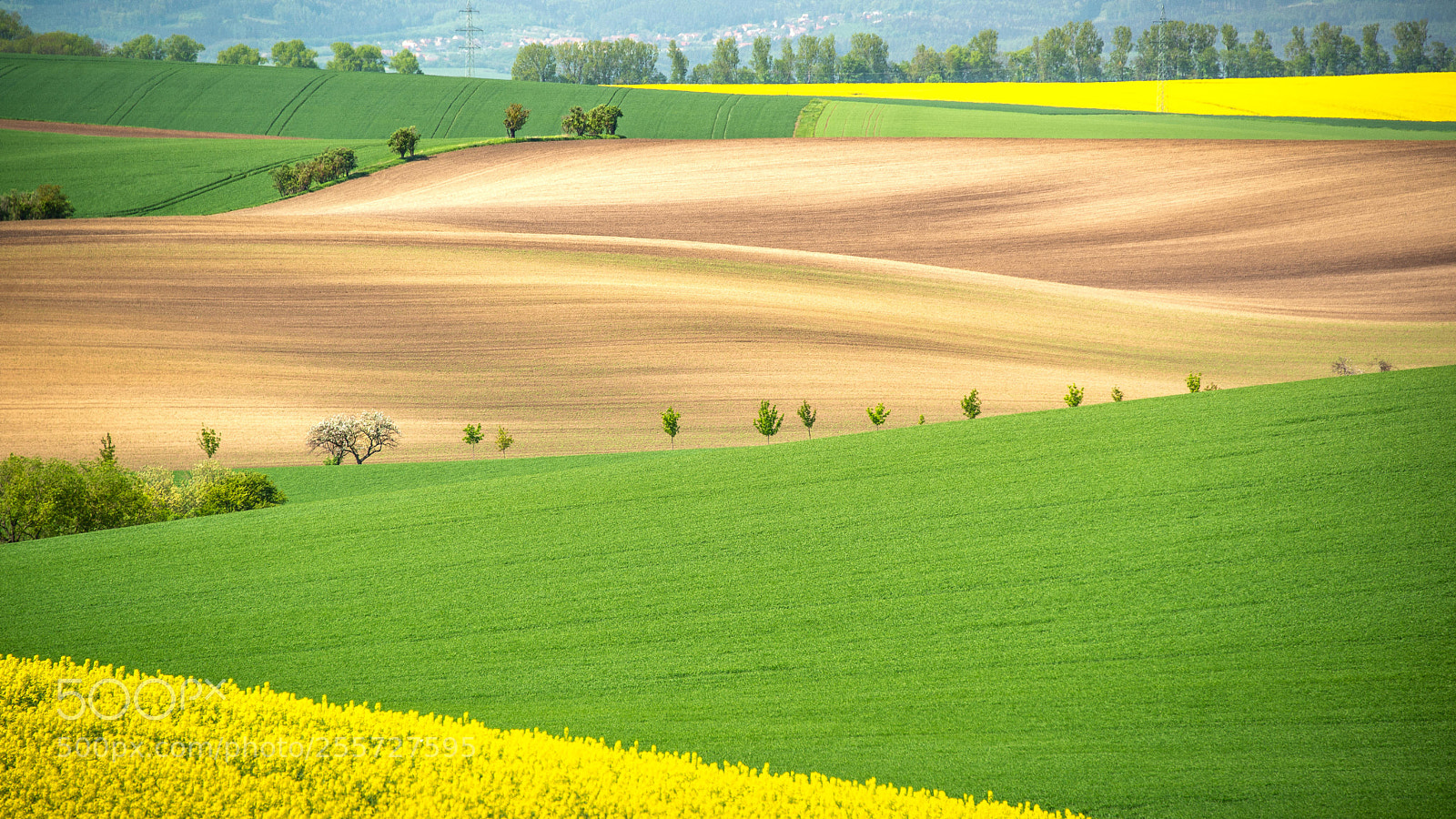 Nikon D610 sample photo. Southern moravia photography
