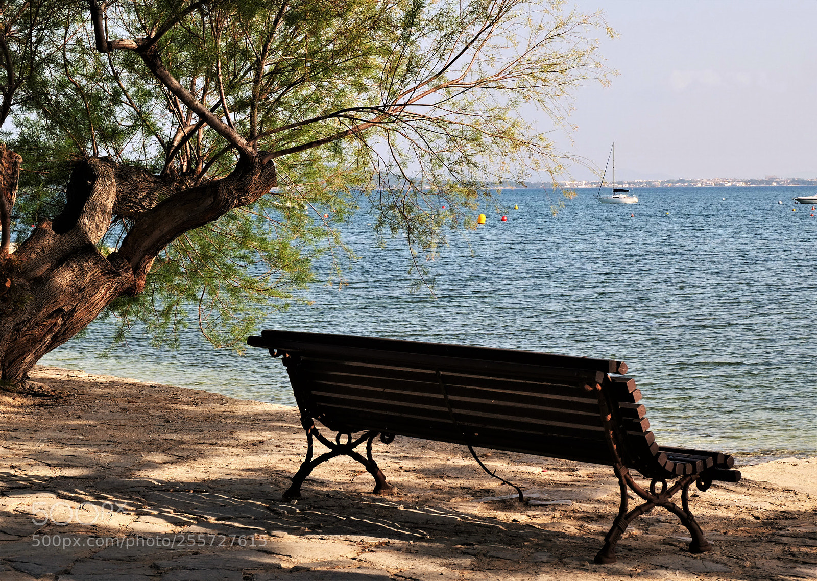 Panasonic Lumix DC-GH5 sample photo. Just chill out! photography