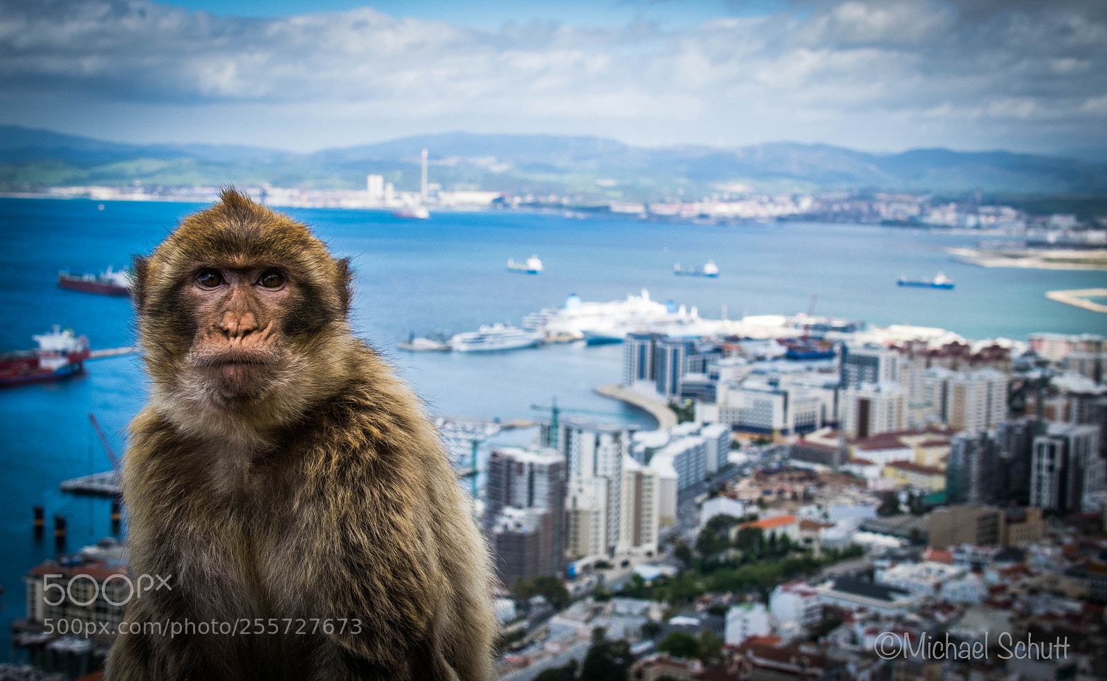 Nikon D5300 sample photo. Apes den in gibraltar photography