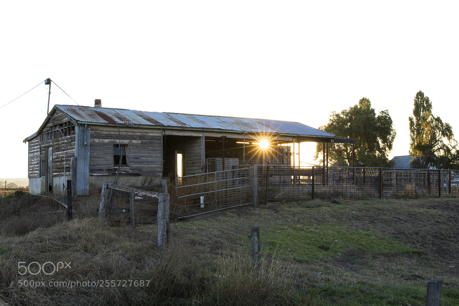 Canon EOS 7D Mark II sample photo. Milk shed photography