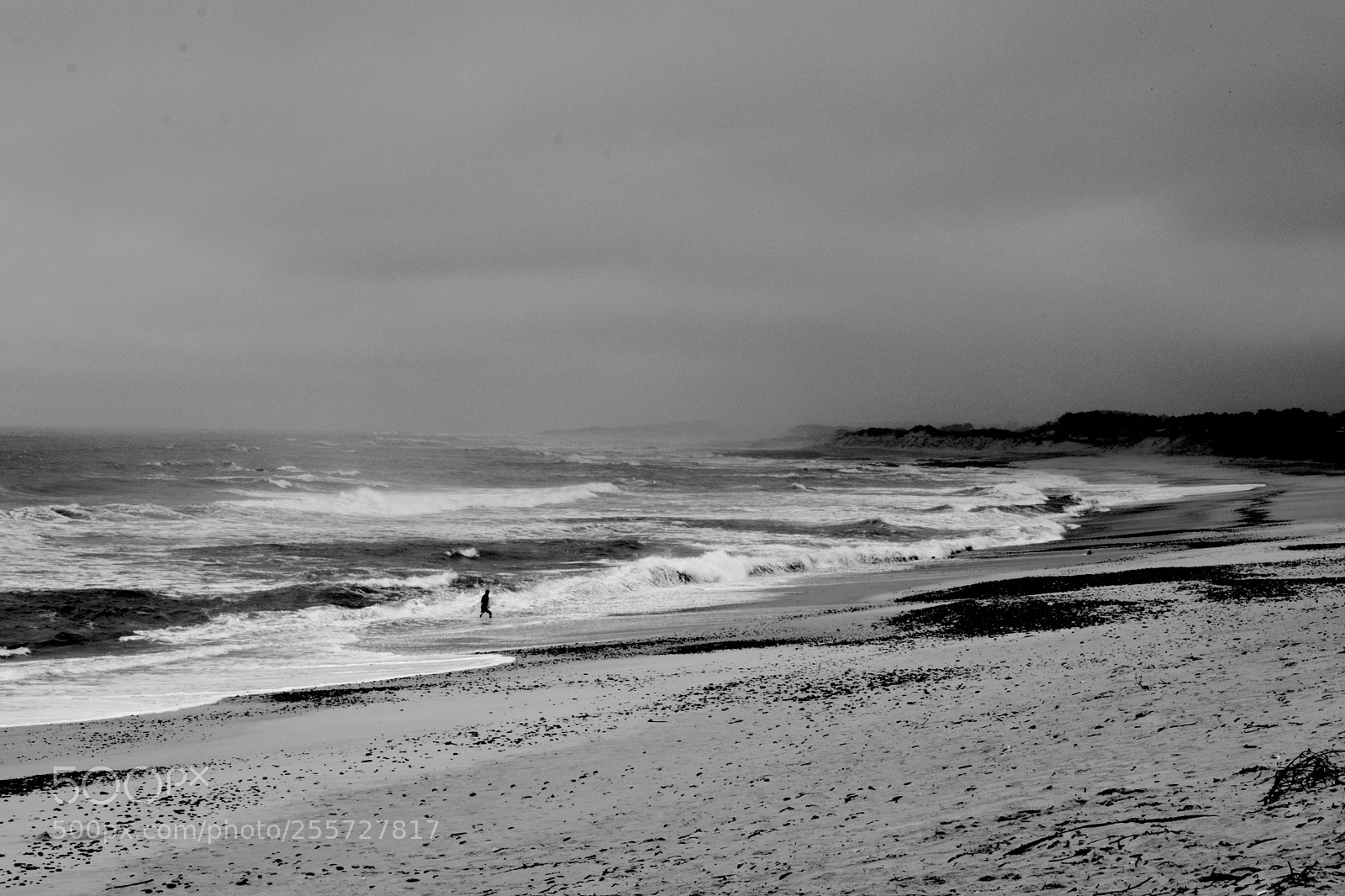 Nikon D5300 sample photo. Coming out of the photography